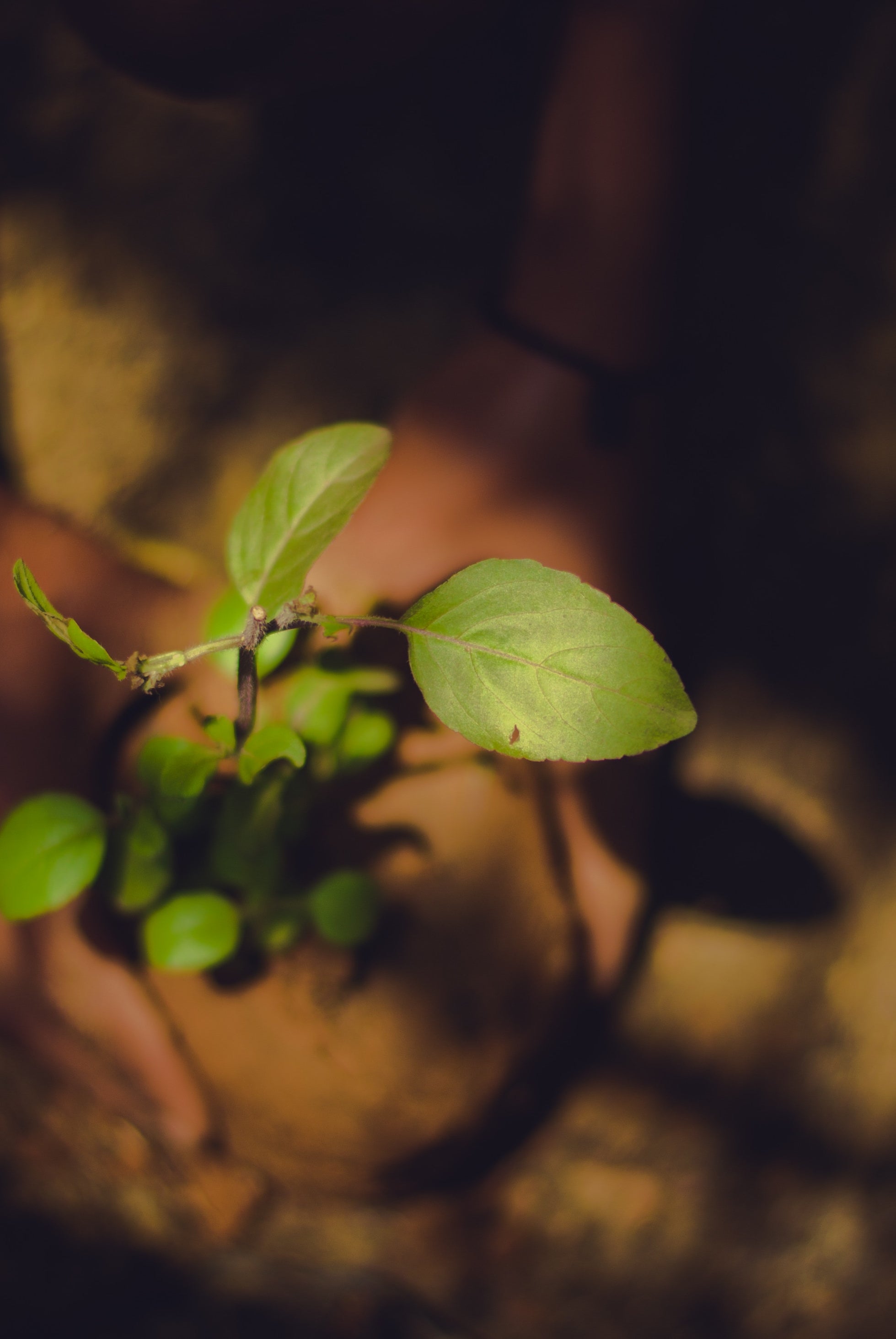 Ten easy ways to be more eco-friendly