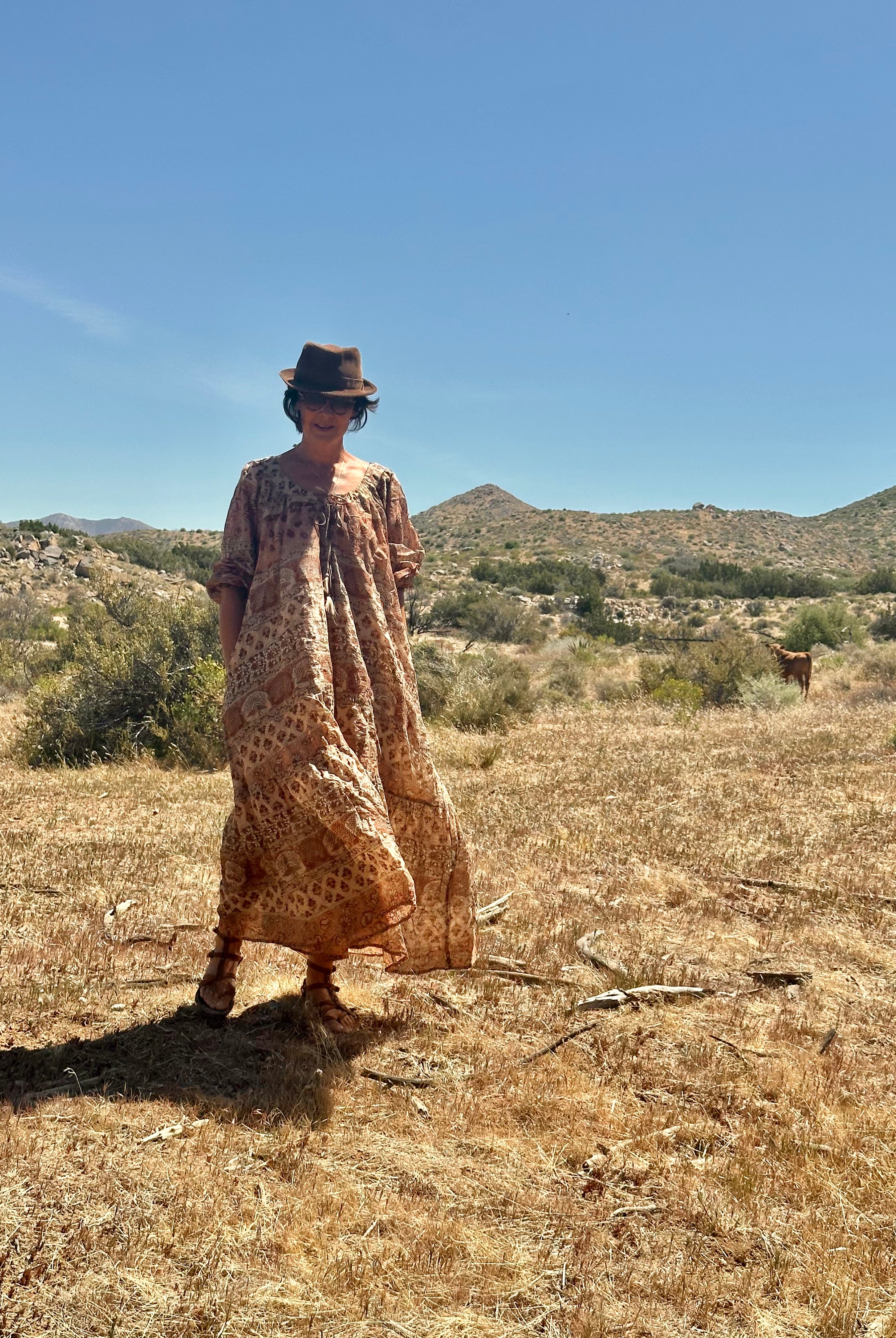 Ella Printed Maxi Dress Long Sleeves Beige One Size