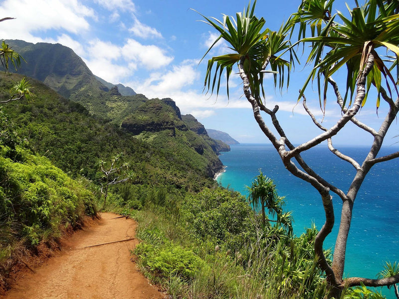 Summer trips for your bohemian soul