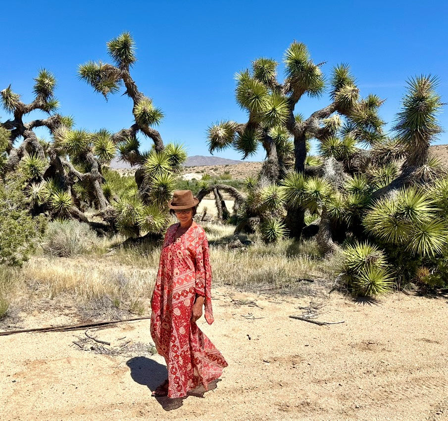 Audrey Printed Maxi Dress Butterfly Sleeves Red