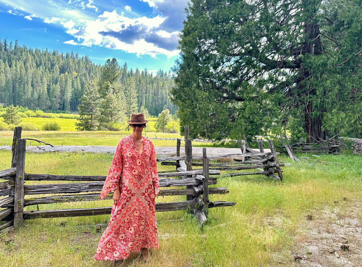 Audrey Printed Maxi Dress Butterfly Sleeves Red
